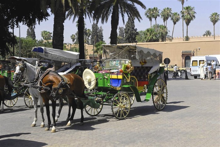 MARRAKECH MOROCCO 07