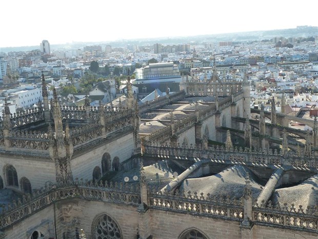 Andalusia Incoming Services 65