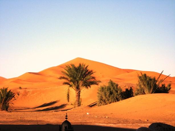 SAHARA MOROCCO 26