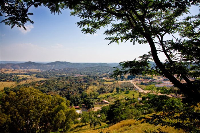 Aracena