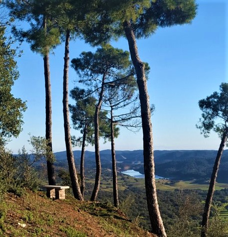 SENDERO EL MIRADOR DE ALONSO EL PEDROSO 070 2 